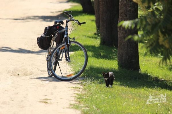 Najpiękniejsze trasy rowerowe w kraju - Powiat Ełcki - Jedyne takie miejsce