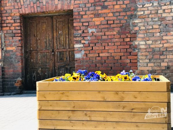 Ulica Elizy Orzeszkowej w Ełku - Jedyne takie miejsce