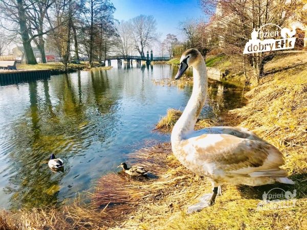 Fot. Dzień dobry Ełk 