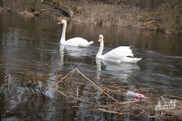 Sprzątanie Rzeki Ełk i Jeziora Ełckiego