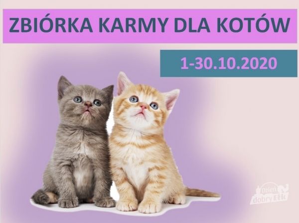 Fot.CEE