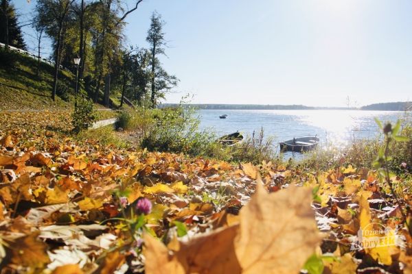Jesień zaprasza do Ełku, na kawę i jesienną  włóczęgę...