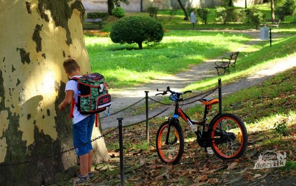  300 zł jednorazowego wsparcia  - Jak otrzymać świadczenie „Dobry Start”?