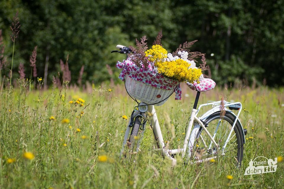 bicycle 2553927 960 720