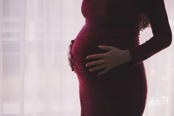 Miasto Ełk wspiera młodych rodziców. W Ełku funkcjonują Szkoła Rodzenia oraz Poradnia Laktacyjna