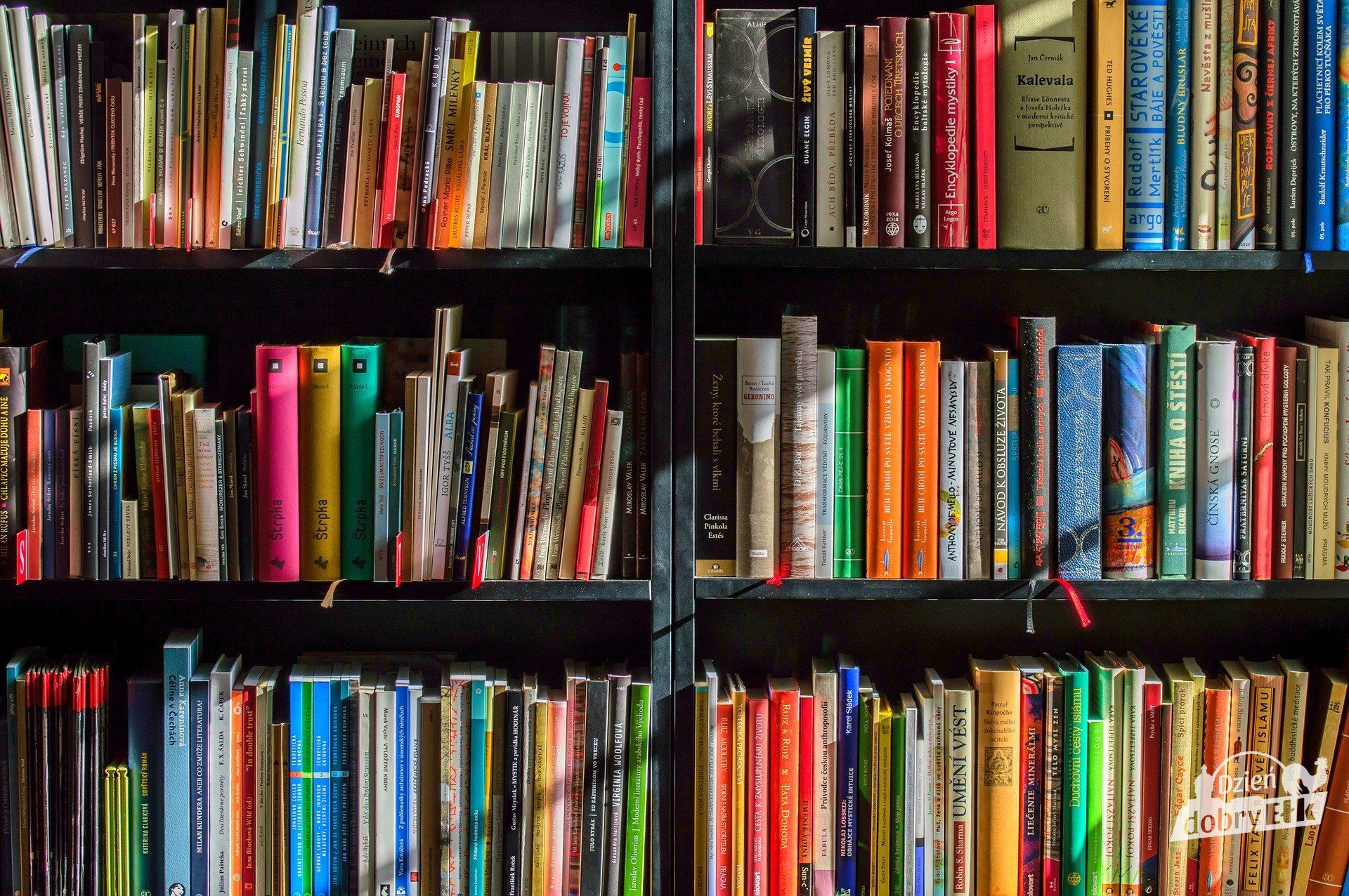 books 1204029 1920