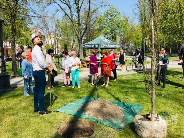 Posadzili dęby poświęcone Kobietom - Ełczankom, Działaczkom Społecznym i Nauczycielkom