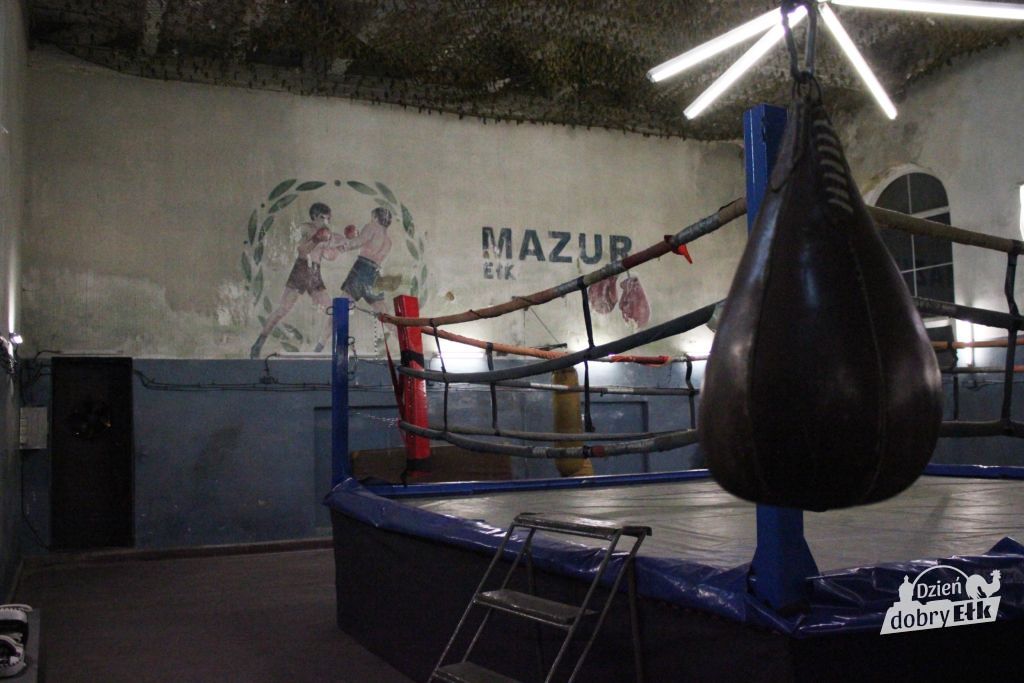 IMG 7330 1024x683