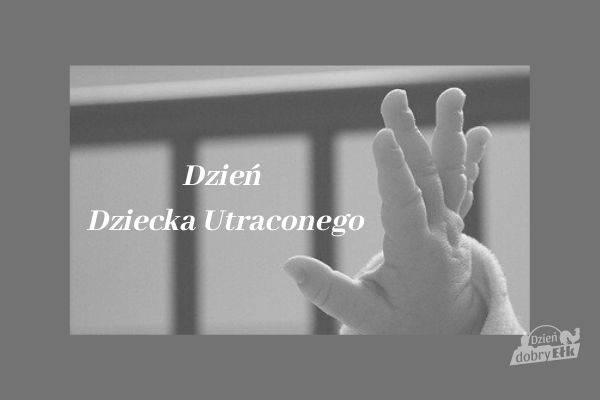 Fot.elk.pl