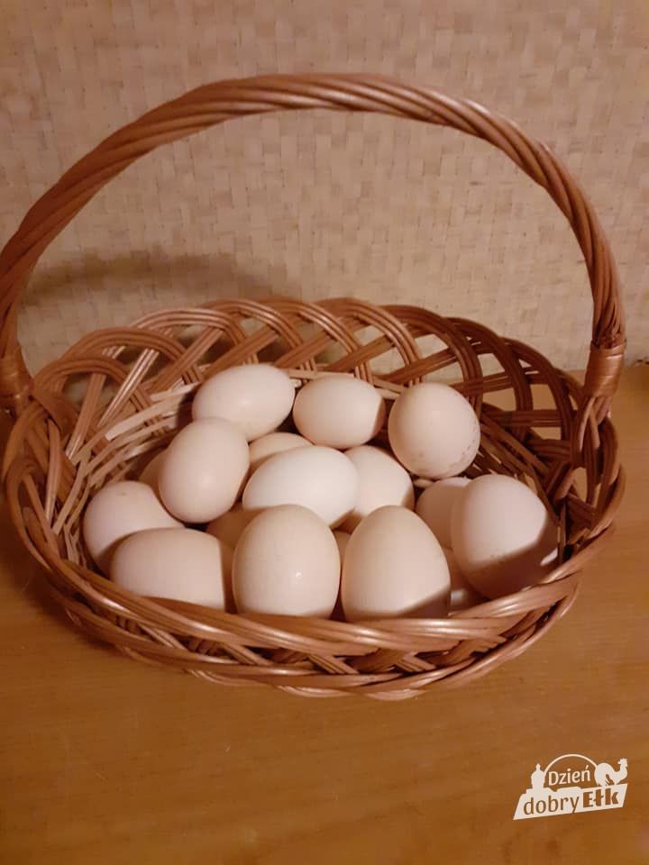 117336605 2614604008799755 4080577943221844400 n