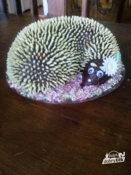 117073292 1560563947438432 650193273683515354 n