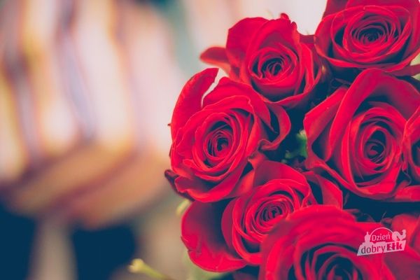 Kochanym Babciom i Dziadkom - Wszystkiego co najpiękniejsze!