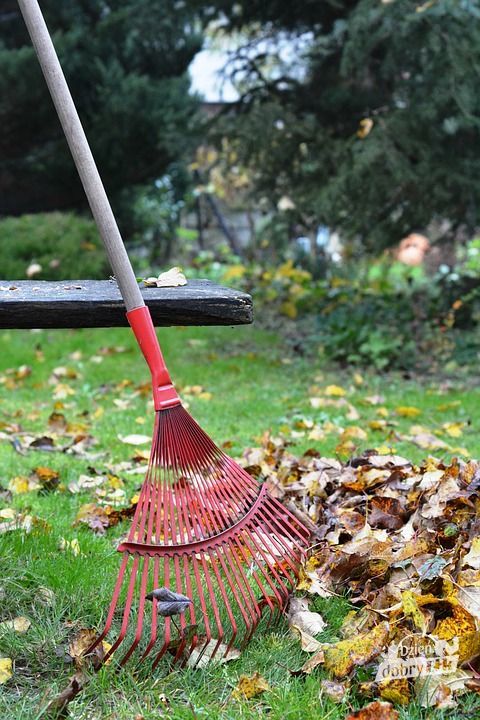 rake 2876078 960 720