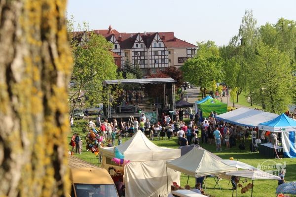 Płatne festiwale w Ełku? Propozycje zmian w finansowaniu sportu w Ełku