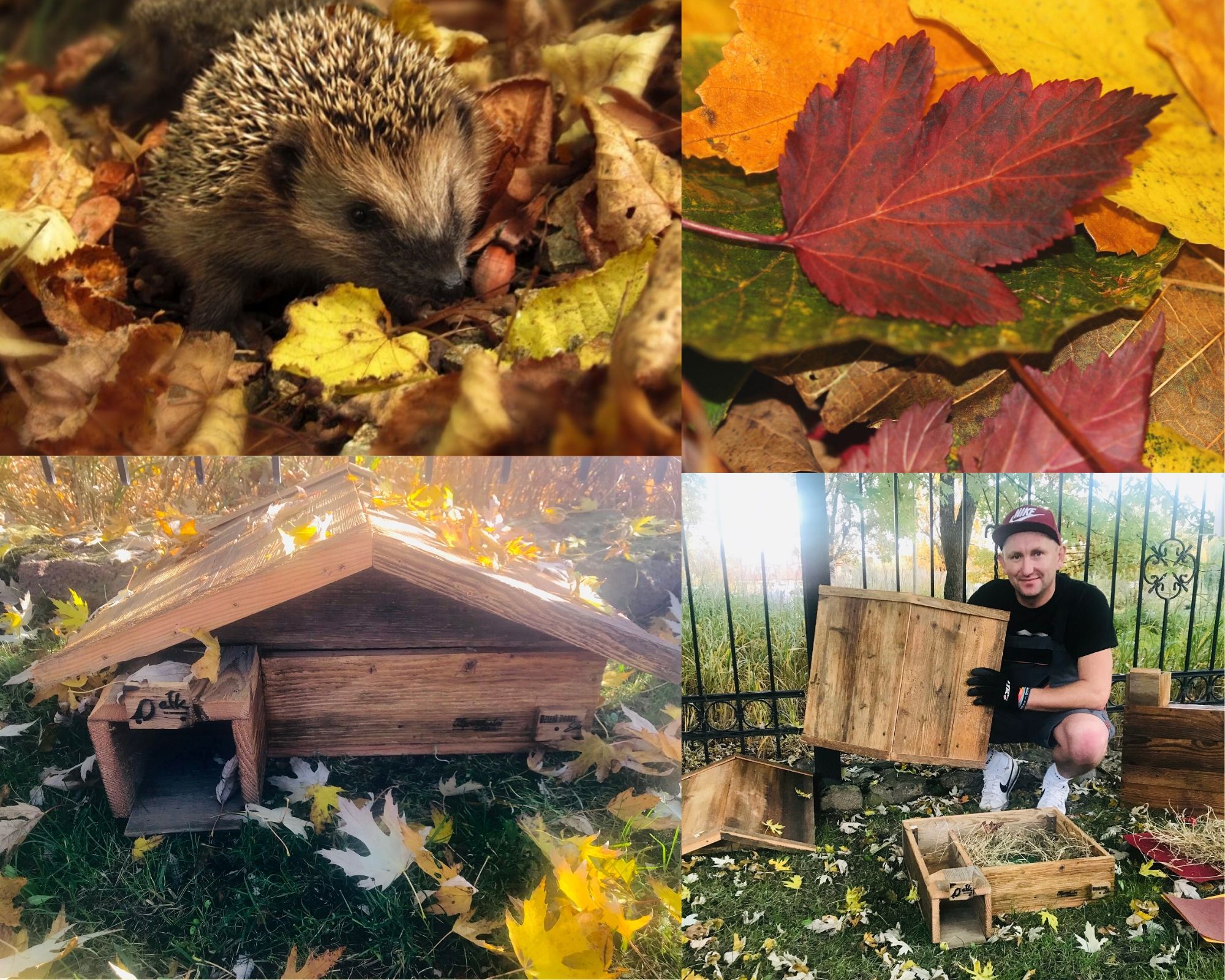Projekt bez tytułu 2